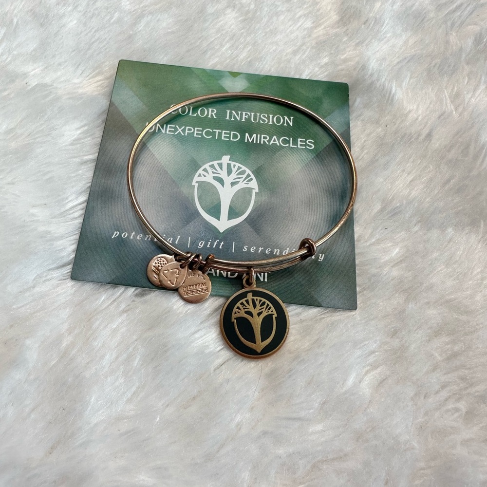 Alex and Ani Color Infused ‘Unexpected Miracle’